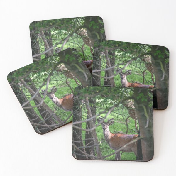 Item preview, A majestic red deer grazing in a meadow in summer designed and sold by AlbertMi.