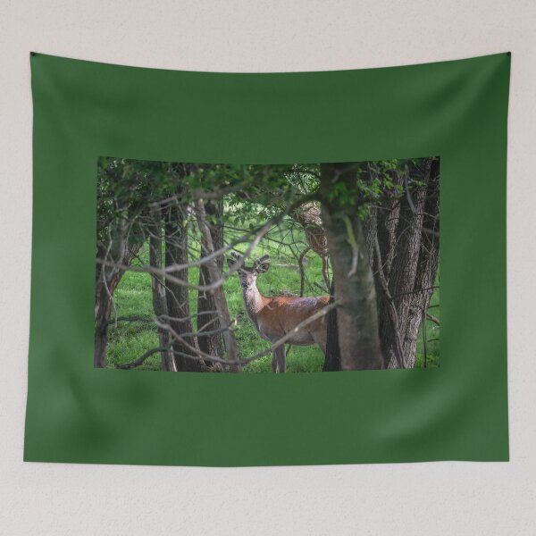 Item preview, A majestic red deer grazing in a meadow in summer designed and sold by AlbertMi.