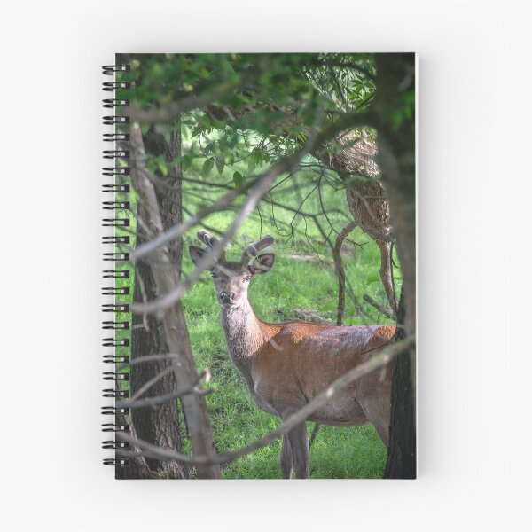Item preview, A majestic red deer grazing in a meadow in summer designed and sold by AlbertMi.