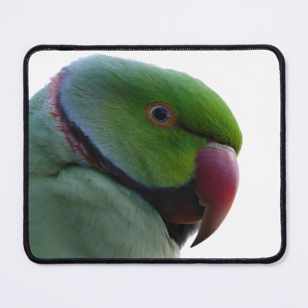 Item preview, Exotic Charm: A Close-up Portrait of a Rose-Ringed Parakeet designed and sold by hendrikspix.