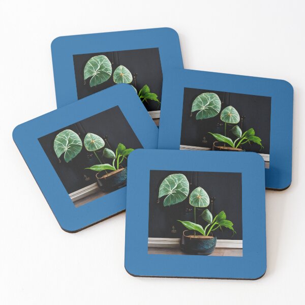 Item preview, Indoor Plants Philodendron Alocasia  designed and sold by Goodtoyou.
