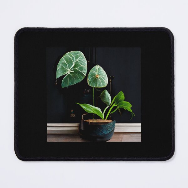 Item preview, Indoor Plants Philodendron Alocasia designed and sold by Goodtoyou.