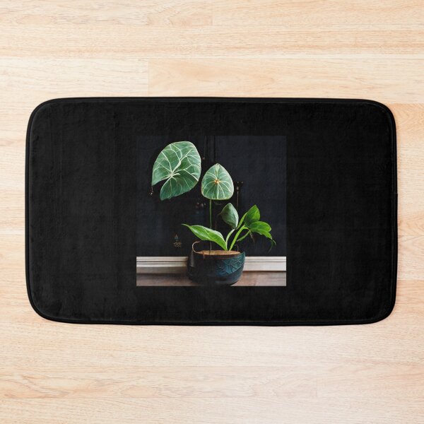 Item preview, Indoor Plants Philodendron Alocasia  designed and sold by Goodtoyou.