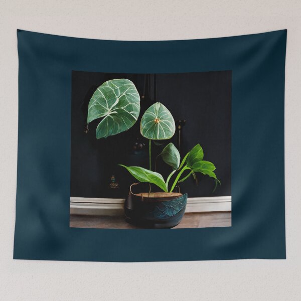 Item preview, Indoor Plants Philodendron Alocasia  designed and sold by Goodtoyou.