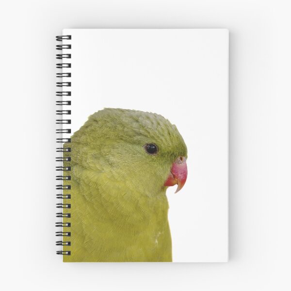 Item preview, Tropical Splendor: A Close-up Portrait of a Regent Parrot designed and sold by hendrikspix.