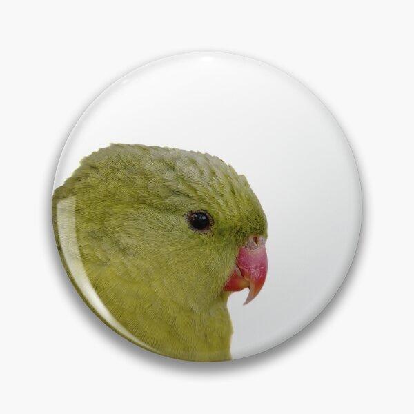Item preview, Tropical Splendor: A Close-up Portrait of a Regent Parrot designed and sold by hendrikspix.