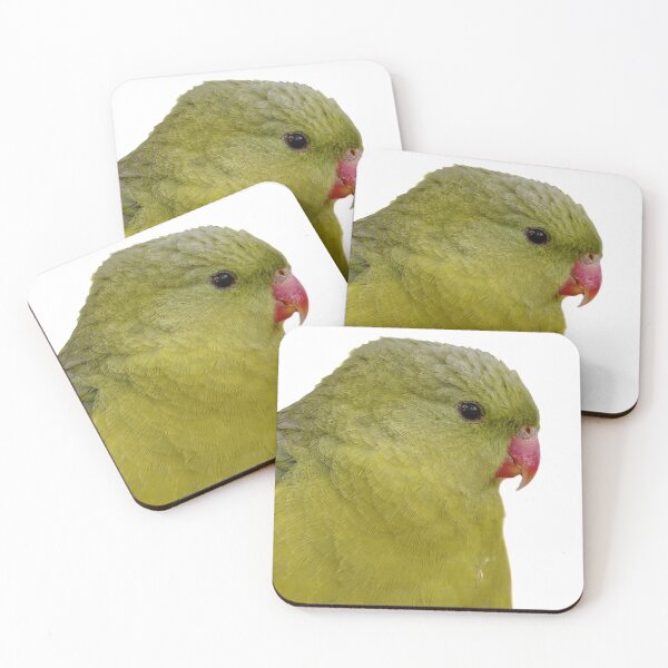 Item preview, Tropical Splendor: A Close-up Portrait of a Regent Parrot designed and sold by hendrikspix.