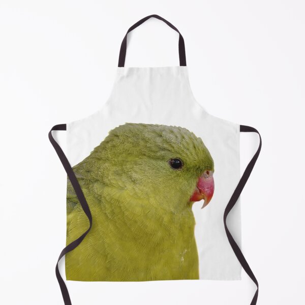 Item preview, Tropical Splendor: A Close-up Portrait of a Regent Parrot designed and sold by hendrikspix.