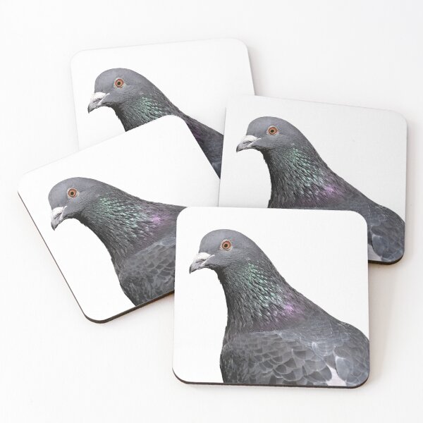 Item preview, City Guardian: A Close-up Portrait of a Rock Dove Looking into the Camera designed and sold by hendrikspix.