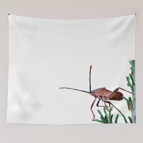 Item preview, Nature's Armor: A Close-up Portrait of a Shield Bug on a Plant designed and sold by hendrikspix.