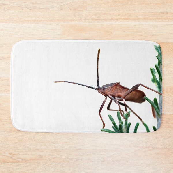 Item preview, Nature's Armor: A Close-up Portrait of a Shield Bug on a Plant designed and sold by hendrikspix.