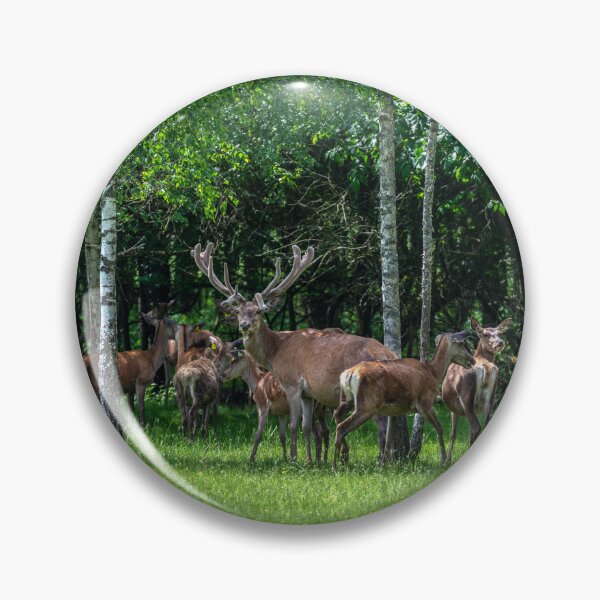 Item preview, A majestic red deer grazing in a meadow in summer designed and sold by AlbertMi.