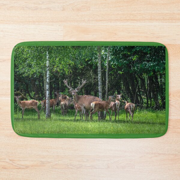 Item preview, A majestic red deer grazing in a meadow in summer designed and sold by AlbertMi.