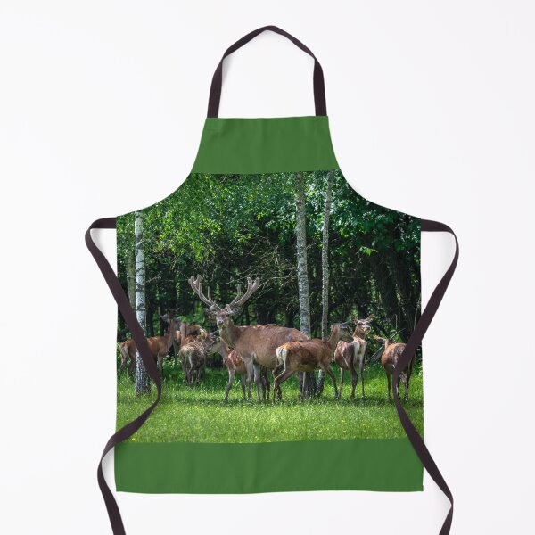 Item preview, A majestic red deer grazing in a meadow in summer designed and sold by AlbertMi.