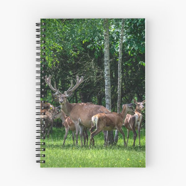 Item preview, A majestic red deer grazing in a meadow in summer designed and sold by AlbertMi.