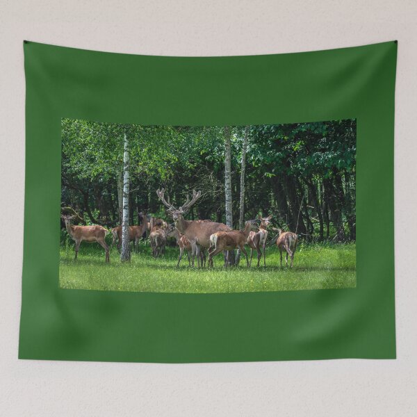 Item preview, A majestic red deer grazing in a meadow in summer designed and sold by AlbertMi.