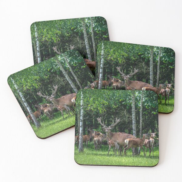 Item preview, A majestic red deer grazing in a meadow in summer designed and sold by AlbertMi.