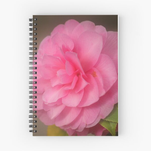 Item preview, Bloomin' Marvellous designed and sold by RedHillDigital.
