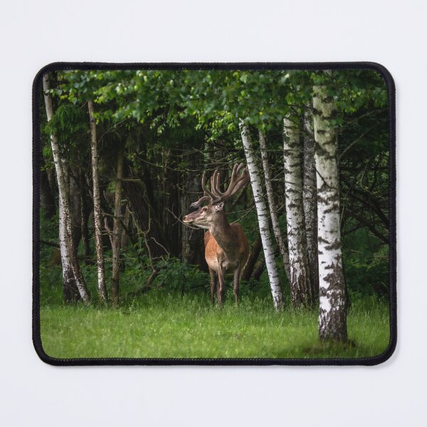 Item preview, A majestic red deer grazing in a meadow in summer designed and sold by AlbertMi.
