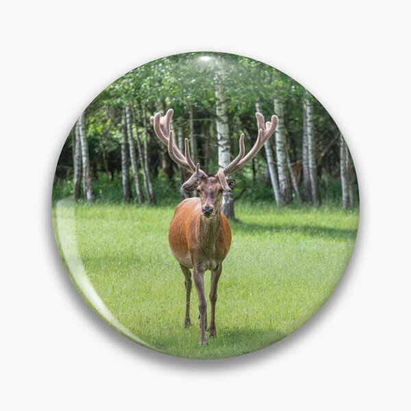 Item preview, A majestic red deer grazing in a meadow in summer designed and sold by AlbertMi.