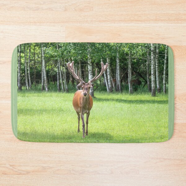 Item preview, A majestic red deer grazing in a meadow in summer designed and sold by AlbertMi.