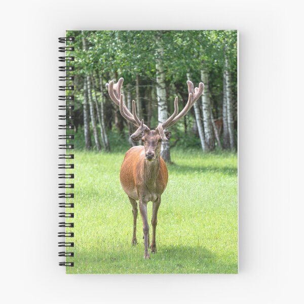 Item preview, A majestic red deer grazing in a meadow in summer designed and sold by AlbertMi.