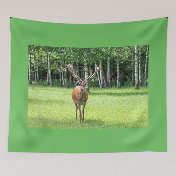 Item preview, A majestic red deer grazing in a meadow in summer designed and sold by AlbertMi.