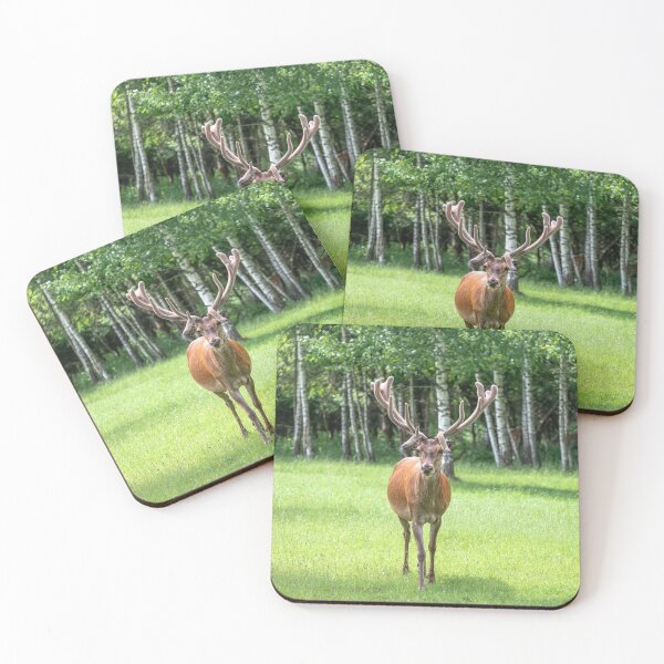 Item preview, A majestic red deer grazing in a meadow in summer designed and sold by AlbertMi.