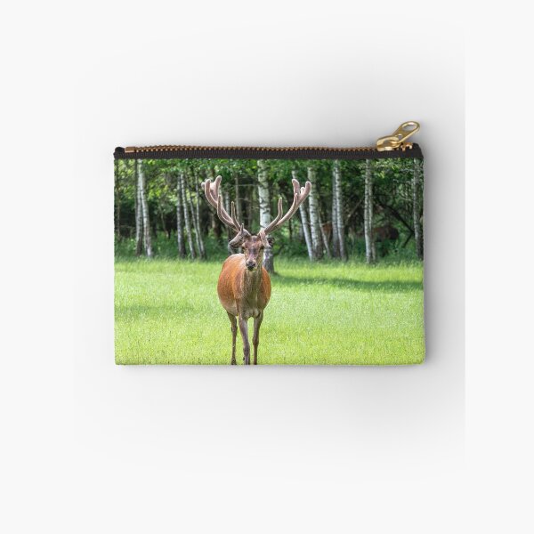 Item preview, A majestic red deer grazing in a meadow in summer designed and sold by AlbertMi.