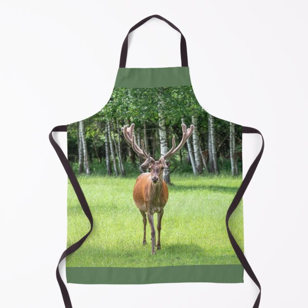 Item preview, A majestic red deer grazing in a meadow in summer designed and sold by AlbertMi.