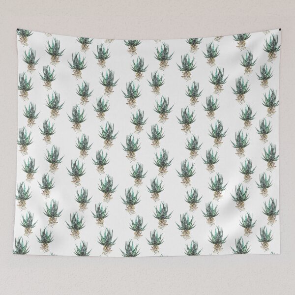 Item preview, Haworthia designed and sold by deadsquirrel.