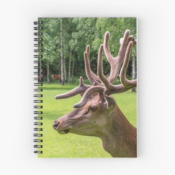 Item preview, Portrait of a majestic red deer designed and sold by AlbertMi.