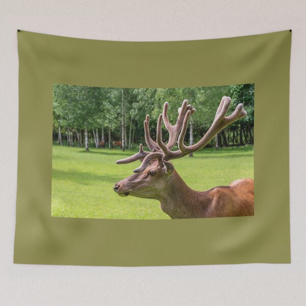Item preview, Portrait of a majestic red deer designed and sold by AlbertMi.