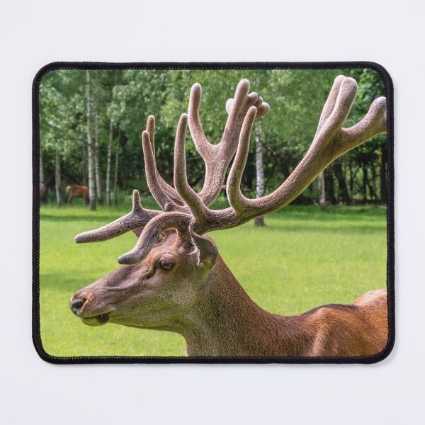 Item preview, Portrait of a majestic red deer designed and sold by AlbertMi.