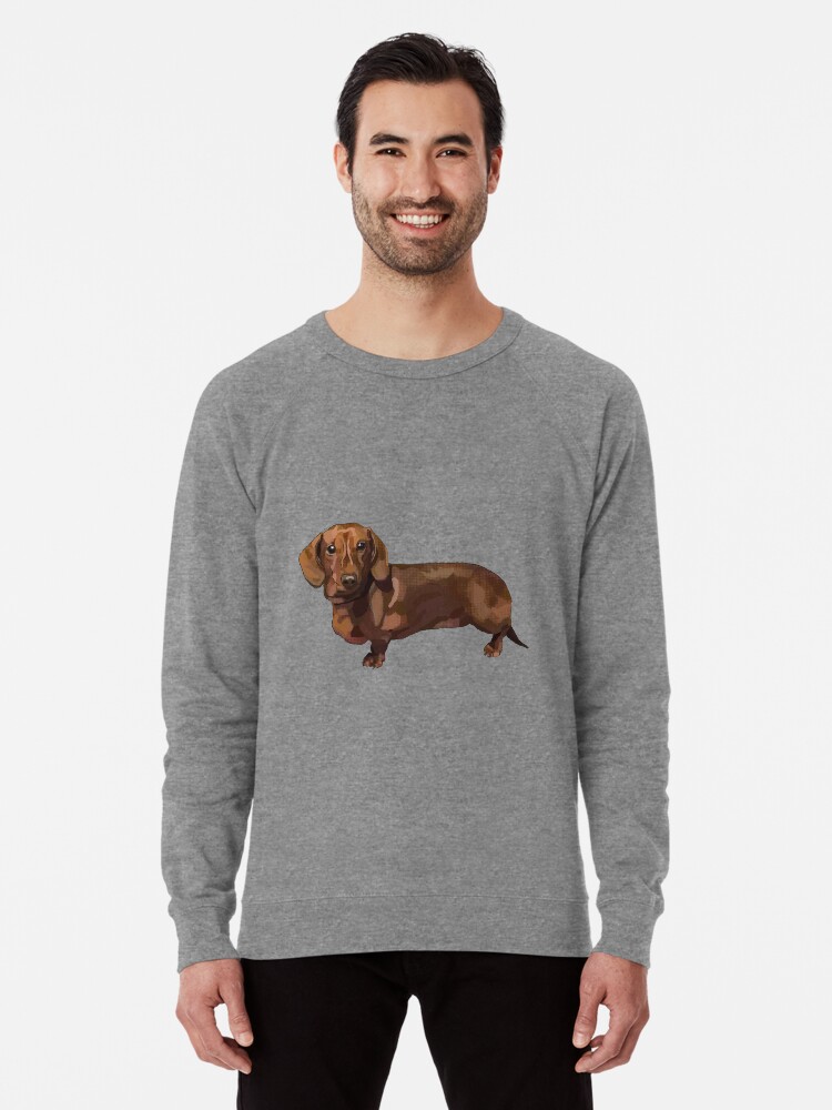 teddy sausage dog