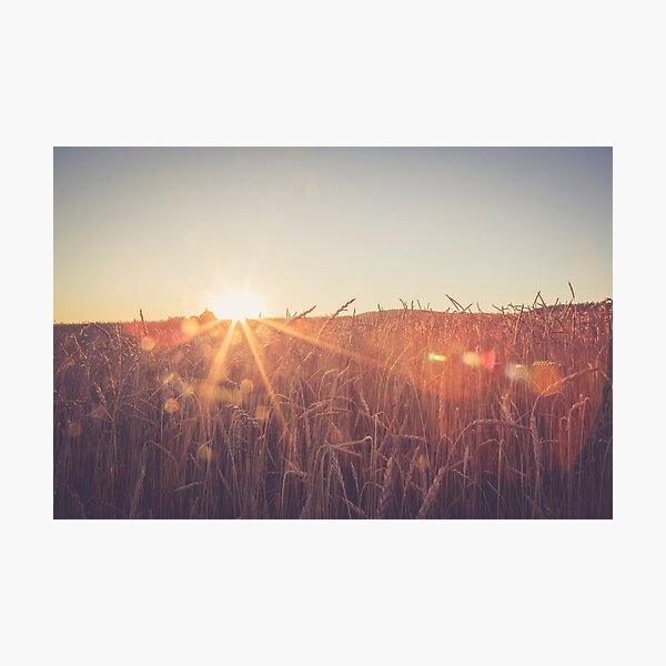 Sommerabend II Fotodruck