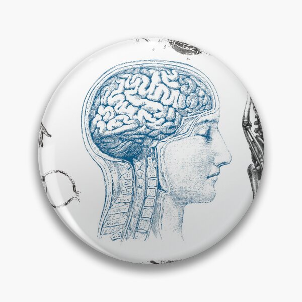 Item preview, Anatomy Illustrations Vintage Pattern designed and sold by alinabeska.