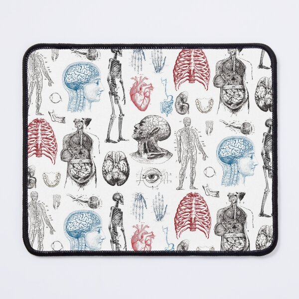 Item preview, Anatomy Illustrations Vintage Pattern designed and sold by alinabeska.