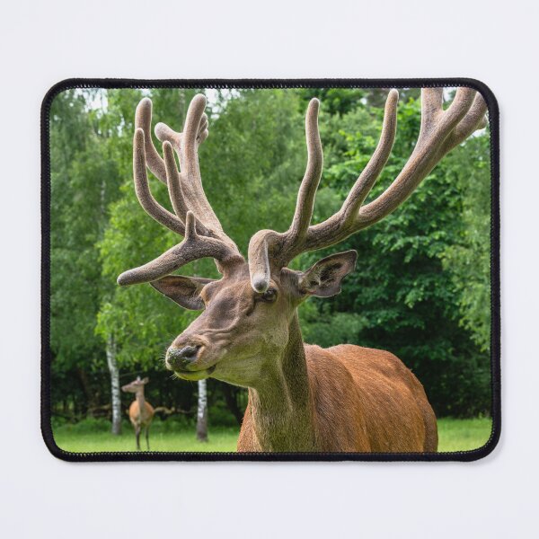 Item preview, Portrait of a majestic red deer designed and sold by AlbertMi.