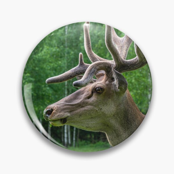 Item preview, Portrait of a majestic red deer designed and sold by AlbertMi.