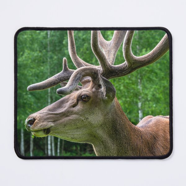 Item preview, Portrait of a majestic red deer designed and sold by AlbertMi.