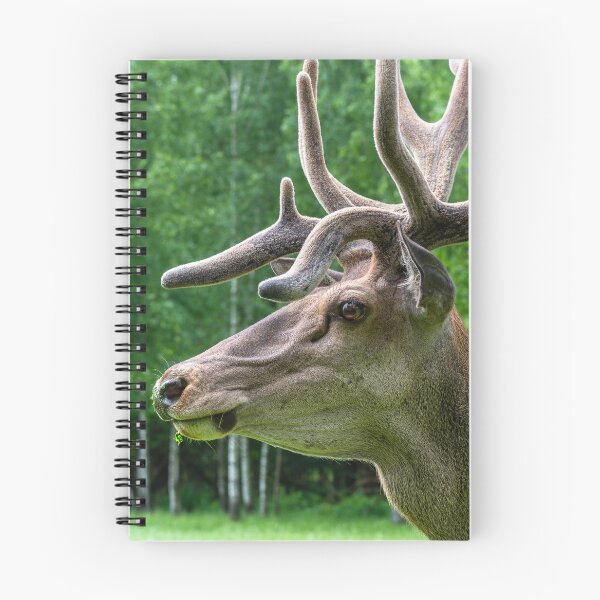 Item preview, Portrait of a majestic red deer designed and sold by AlbertMi.