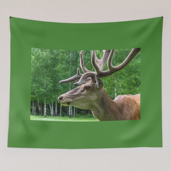 Item preview, Portrait of a majestic red deer designed and sold by AlbertMi.