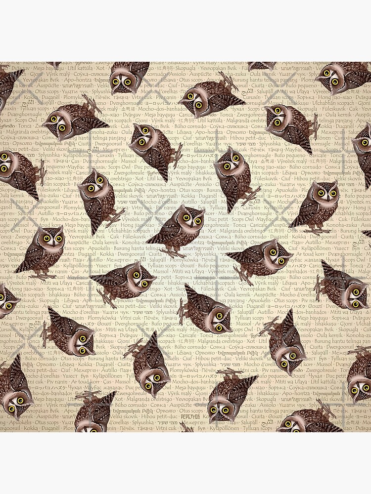 Otus Pocus by pepetto