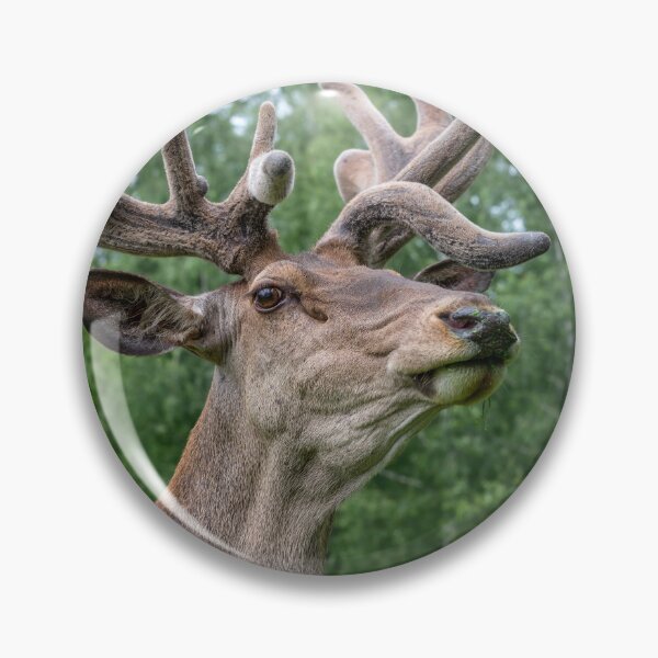 Item preview, Portrait of a majestic red deer designed and sold by AlbertMi.