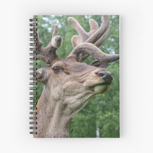 Item preview, Portrait of a majestic red deer designed and sold by AlbertMi.