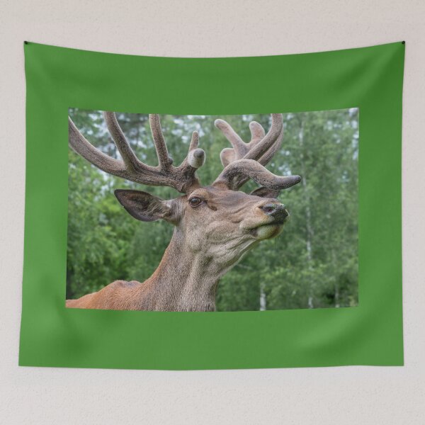 Item preview, Portrait of a majestic red deer designed and sold by AlbertMi.