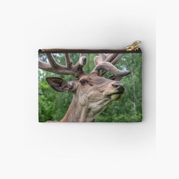 Item preview, Portrait of a majestic red deer designed and sold by AlbertMi.