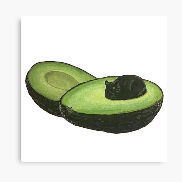 Avocado Cat Canvas Print