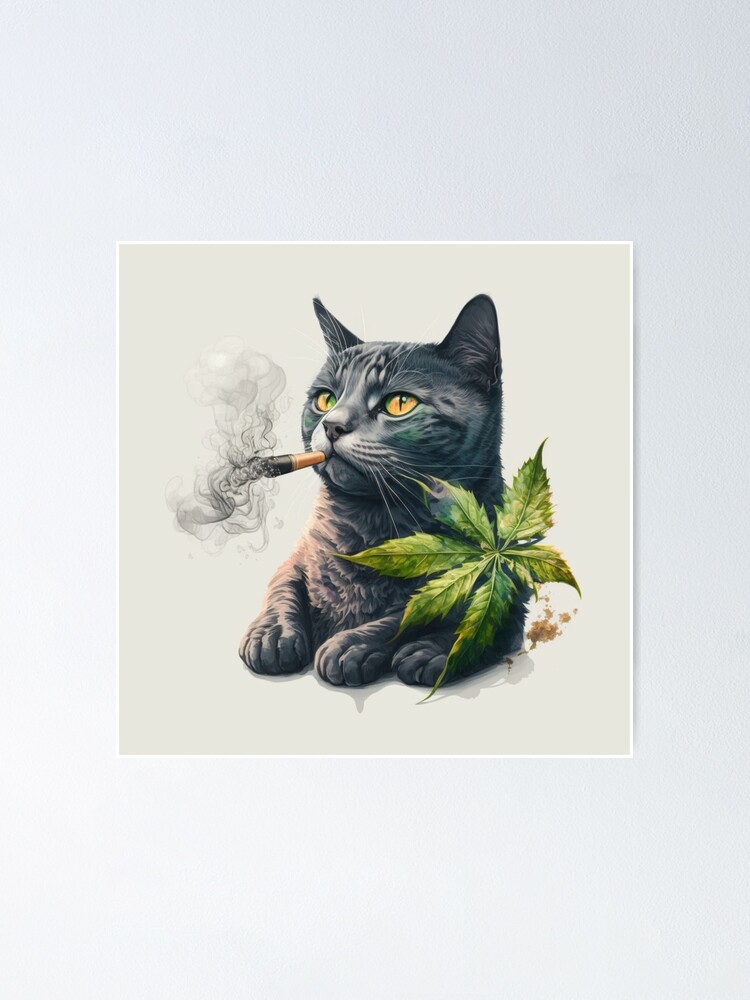 Weed Kitty -  UK